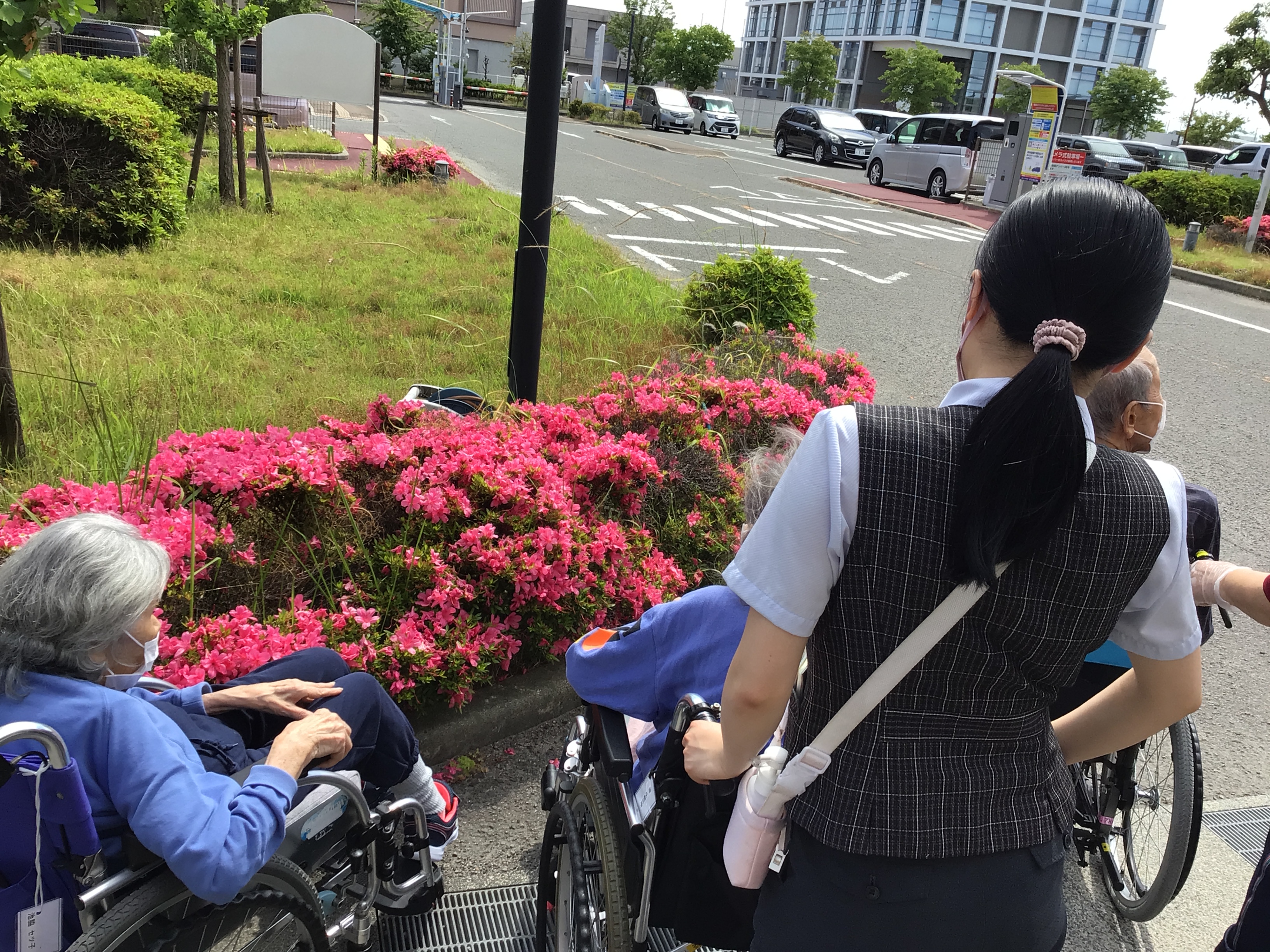 tsutsuji.jpg