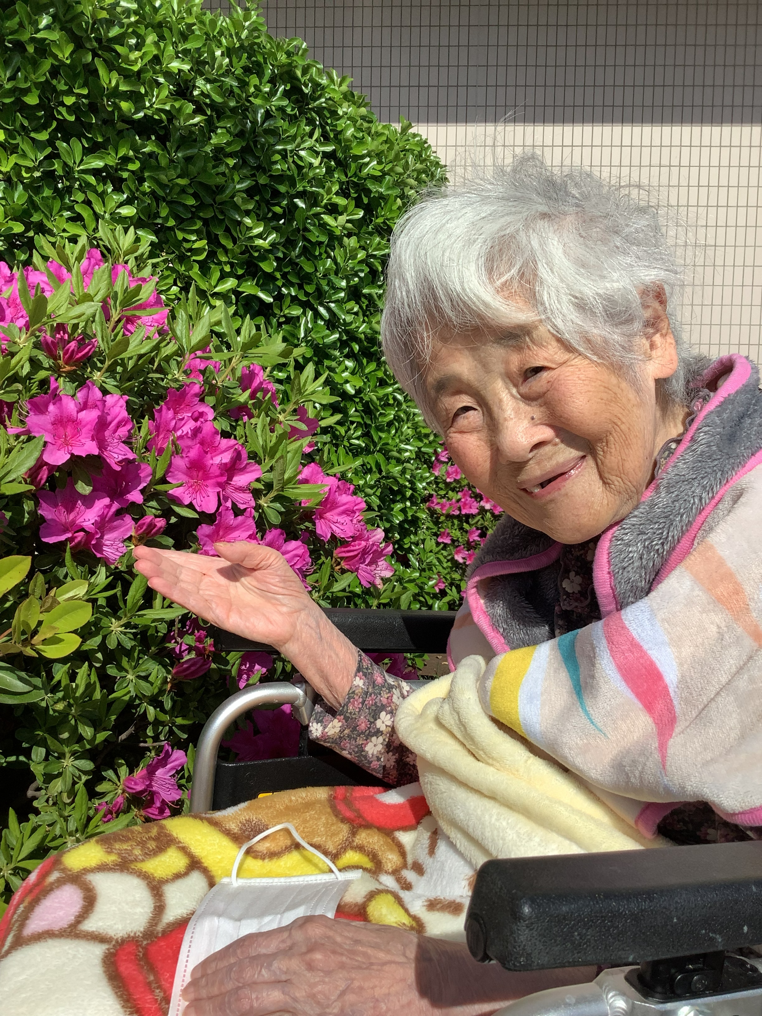 tsutsuji3.jpg